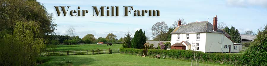 Weir Mill Bed and Breakfast