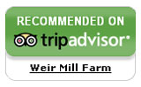 Trip Advisor Reviews