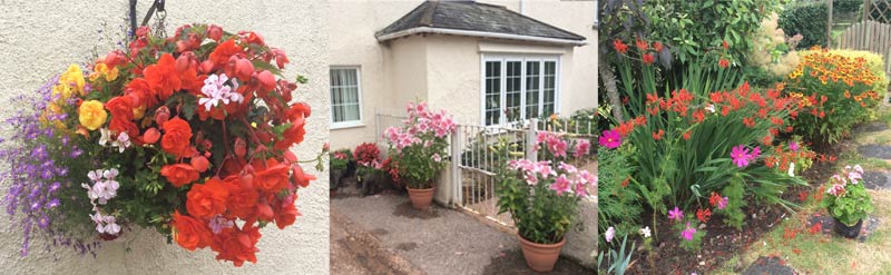 Beautiful flowers at Weir Mill in Devon